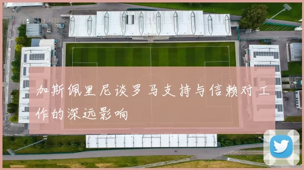 加斯佩里尼谈罗马支持与信赖对工作的深远影响